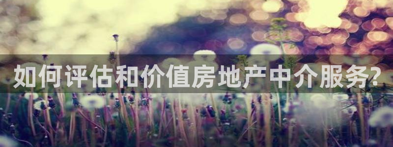 和记娱实惠h88285官网：如何评估和价值房地产中介服务?