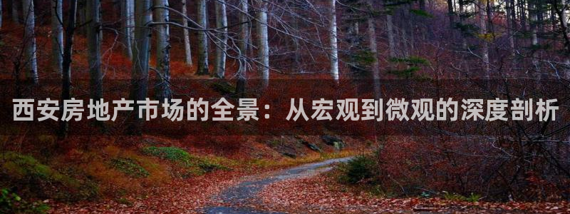 香港和记通讯官网：西安房地产市场的全景：从宏观到微观的深度剖