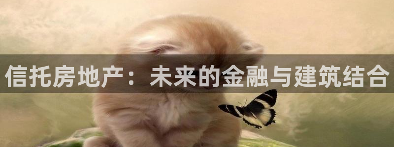 和记娱安全h88285官网：信托房地产：未来的金融与建筑结合