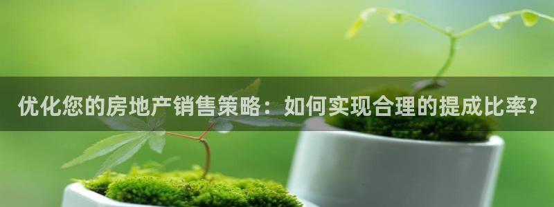 和记网址官网：优化您的房地产销售策略：如何实现合理的提成比率