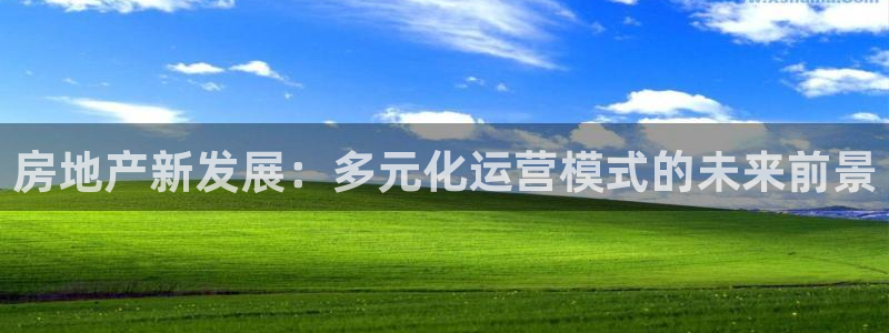和记官网登录入口：房地产新发展：多元化运营模式的未来前景