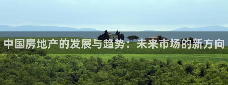 和记官网备用客户端：中国房地产的发展与趋势：未来市场的新方向