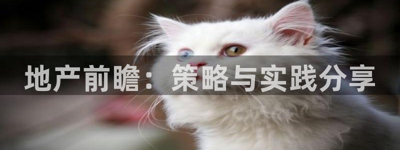 和记黄埔武汉官网：地产前瞻：策略与实践分享