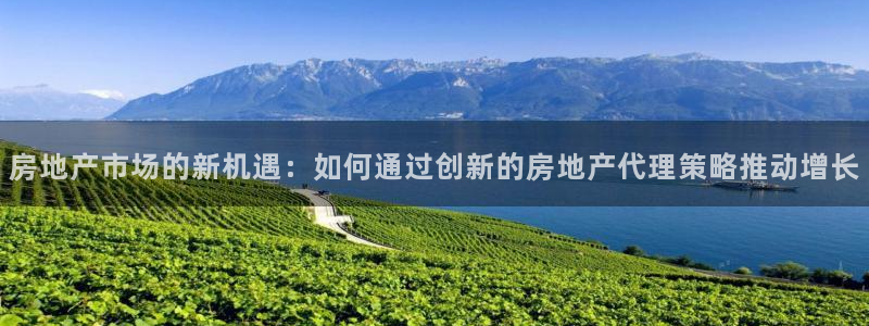 和记官网开户：房地产市场的新机遇：如何通过创新的房地产代理策