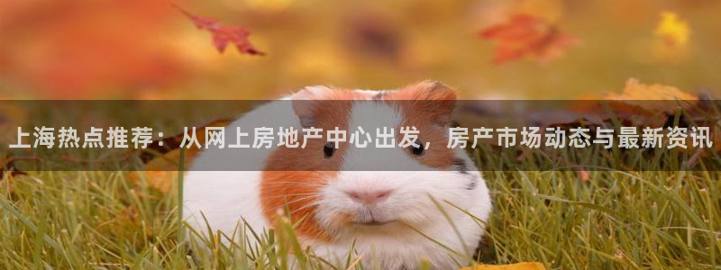 和记官网登录入口：上海热点推荐：从网上房地产中心出发，房产市