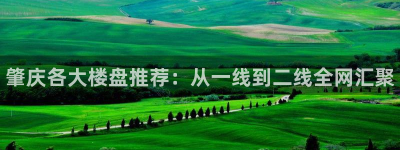 和记黄埔m 官网：肇庆各大楼盘推荐：从一线到二线全网汇聚